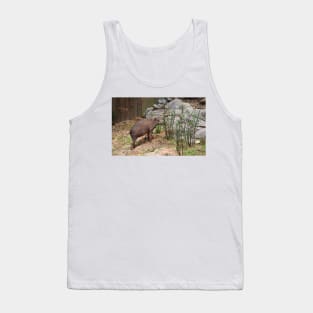 Babirusa Tank Top